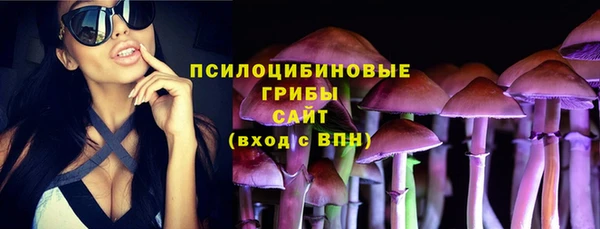 экстази Арсеньев