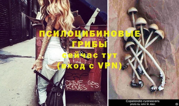 герыч Алзамай