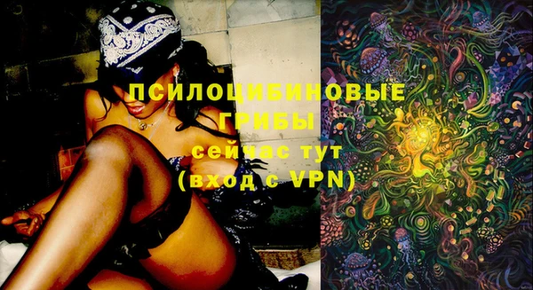 прущие грибы Алексеевка