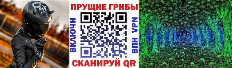 Псилоцибиновые грибы MAGIC MUSHROOMS  мориарти Telegram  Бабаево 